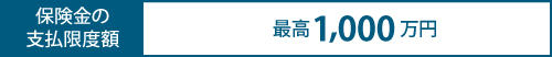 保険金の支払限度額は最高1,000万円