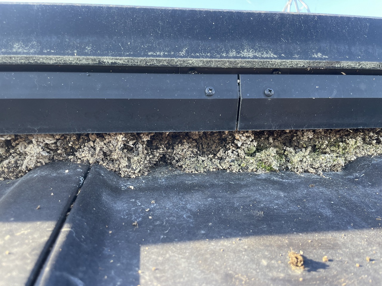 斑鳩町太陽光パネル鳥の巣