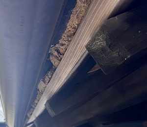 軒先雀口の漆喰剥がれ