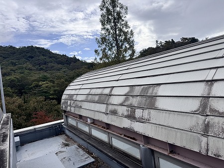 曲面屋根の汚れ状況