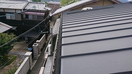 落ち葉除けネットの隙間に落ち葉